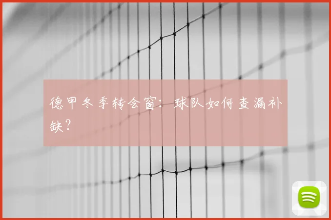 德甲冬季转会窗:球队如何查漏补缺?